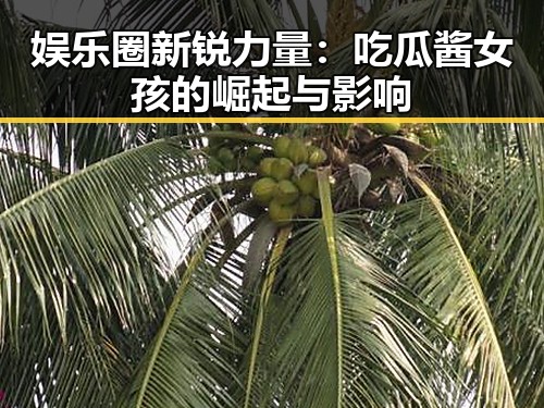 娱乐圈新锐力量:吃瓜酱女孩的崛起与影响