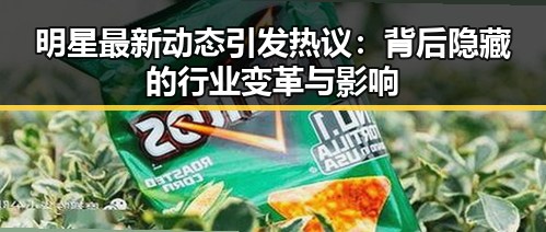 明星最新动态引发热议：背后隐藏的行业变革与影响